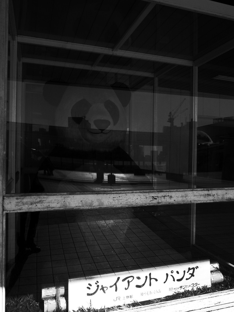 Exif_JPEG_PICTURE