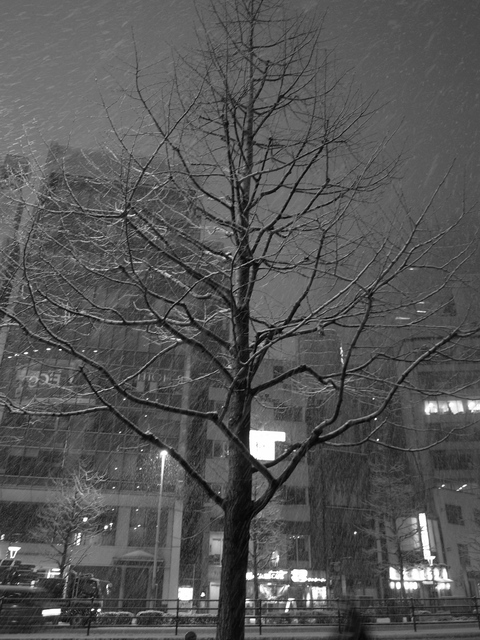 Exif_JPEG_PICTURE