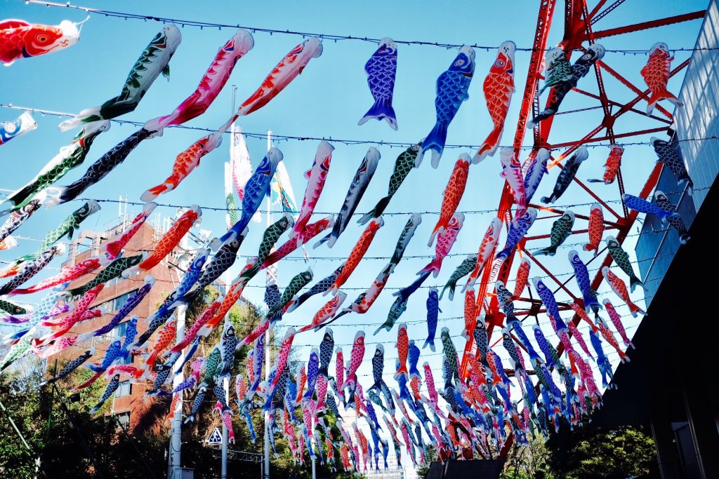 期間限定🎏