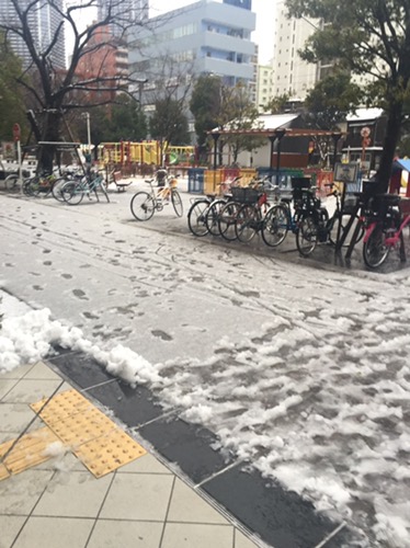 雪