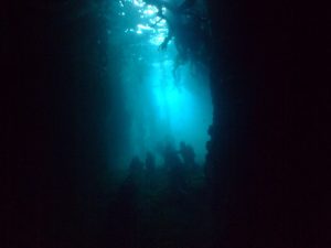 img_0348