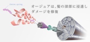 http://www.aujua.com/sproduct/index.htmlより引用