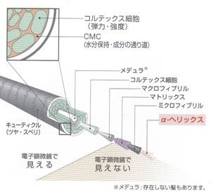 池袋 オージュア イミュライズ ヘアケア トリートメント 青木