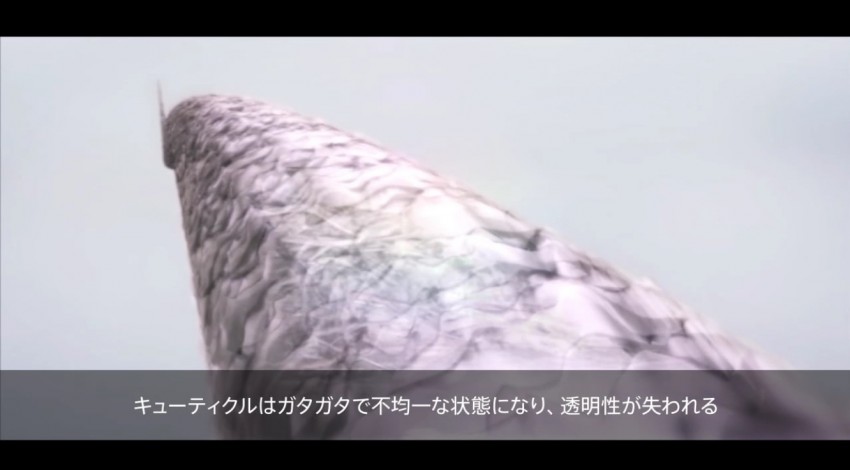 池袋美容室イルミナカラー人気艶髪